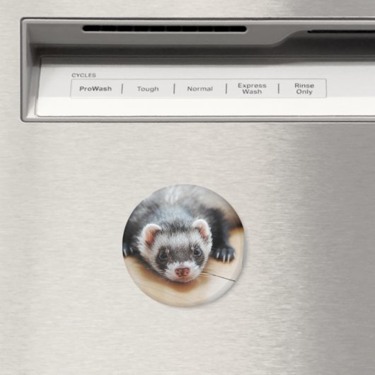 Sable Ferret Magnet (In Situ (Geschirrspüler))