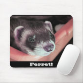 Sable Ferret Mousepad (Mit Mouse)