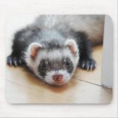 Sable Ferret Mousepad (Vorne)