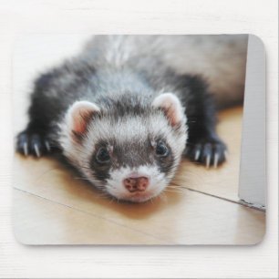 Sable Ferret Mousepad
