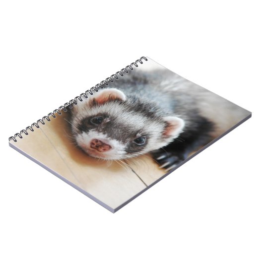 Sable Ferret Notizblock (Linke Seite)