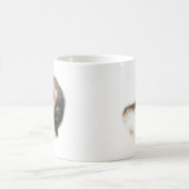 Sable Ferret Picture Kaffeetasse (Mittel)