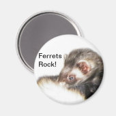 Sable Ferret Picture Magnet (Vorderseite/Rückseite)