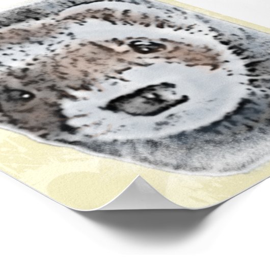 Sable Ferret Picture Poster (Ecke)