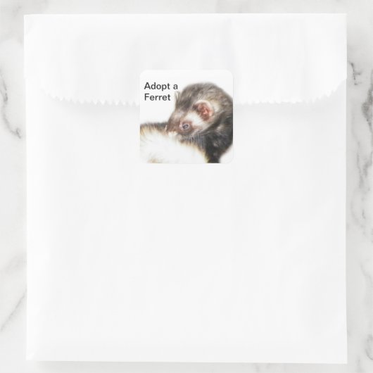 Sable Ferret Picture Quadratischer Aufkleber (Tasche)