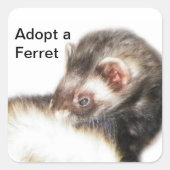 Sable Ferret Picture Quadratischer Aufkleber (Vorderseite)