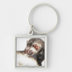Sable Ferret Picture Schlüsselanhänger