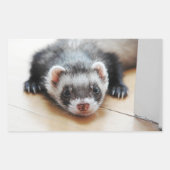 Sable Ferret Rechteckiger Aufkleber (Vorderseite)