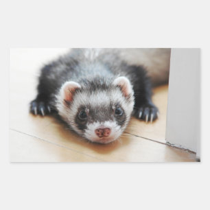 Sable Ferret Rechteckiger Aufkleber