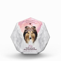 Sable Rough Collie Angel Portrait - Memorial für H