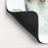 Sable Rough Collie Begegnung mit der Rasse Mousepad (Ecke)