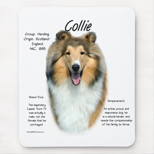 Sable Rough Collie Begegnung mit der Rasse Mousepad (Vorne)