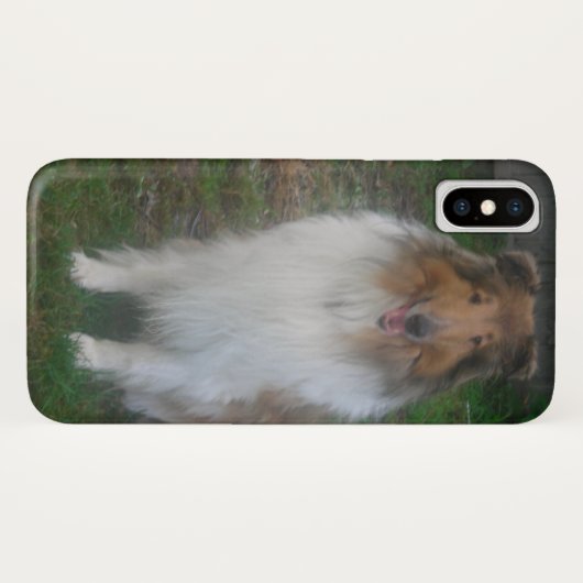 Sable Rough Collie Case-Mate iPhone Hülle (Rückseite (Horizontal))