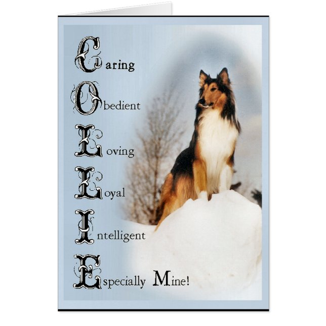 Sable Rough Collie Geschenke (Vorne)