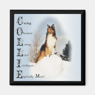 Sable Rough Collie Geschenke Magnet