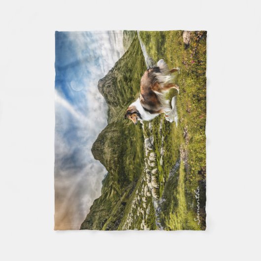 Sable Rough Collie Herding Sheep - Personalisiert Fleecedecke (Vorderseite)