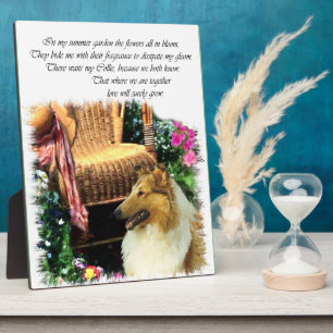 Sable Rough Collie wo Liebe wächst Fotoplatte