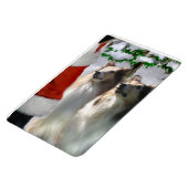 Sable Rough Colliese mit Weihnachten Magnet (Linke Seite)