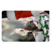 Sable Rough Colliese mit Weihnachten Magnet (Horizontal)