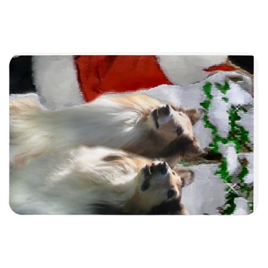 Sable Rough Colliese mit Weihnachten Magnet (Horizontal)