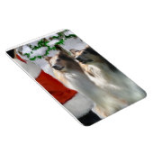 Sable Rough Colliese mit Weihnachten Magnet (Rechte Seite)