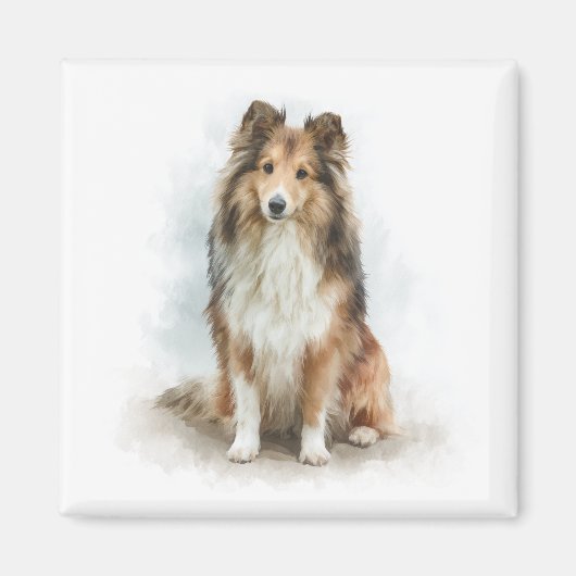 Sable Shetland Sheepdog Watercolor Art Magnet (Vorne)