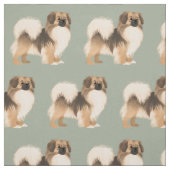 Sable Tibetan Spanisch Fabric Stoff (Muster)