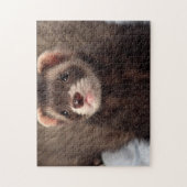 Sable Weasel - Jabba the Ferret Puzzle (Vertikal)