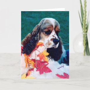 Sable white Cocker Spanel Karte