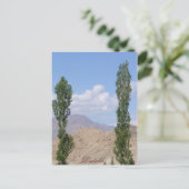 Saboo Ayu. Ladakh, Indien Postkarte (Stehend Vorderseite)