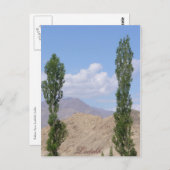 Saboo Ayu. Ladakh, Indien Postkarte (Vorne/Hinten)