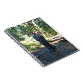 Sacagawea Statue, Fort Clatsop, Astoria, Oregon Notizblock (Rechte Seite)