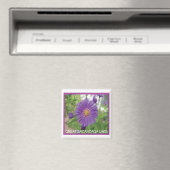 Sacandaga Lila Burst Magnet (In Situ (Geschirrspüler))