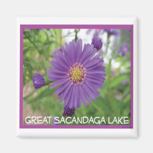 Sacandaga lila Explosions-Magnet Magnet