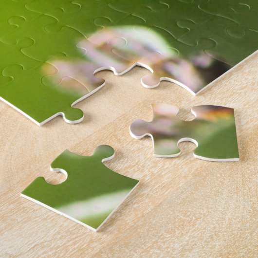 Sachem (Atalopedes campestris) Puzzle (Seite)