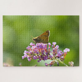 Sachem (Atalopedes campestris) Puzzle