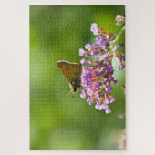 Sachem (Atalopedes campestris) Puzzle (Vertikal)