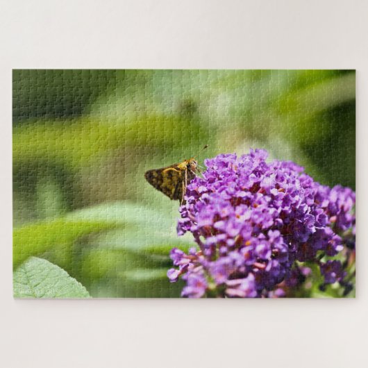 Sachem (Atalopedes campestris) Puzzle (Horizontal)