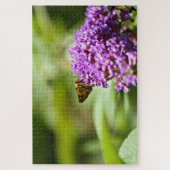 Sachem (Atalopedes campestris) Puzzle (Vertikal)