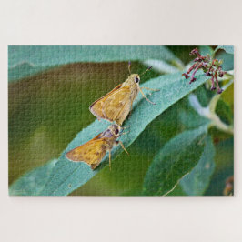 Sachem (Atalopedes campestris) Puzzle