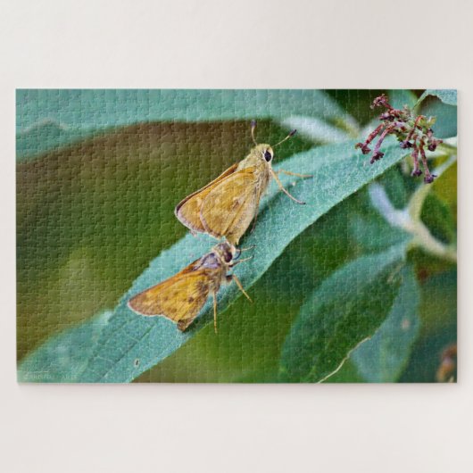 Sachem (Atalopedes campestris) Puzzle (Horizontal)