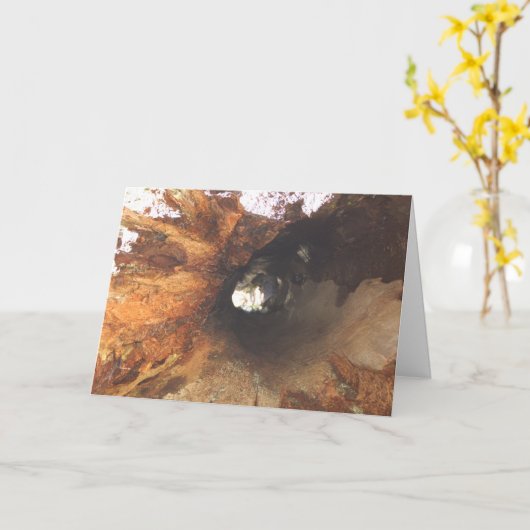 Sachen sind fest karte (Gelbe Blume)