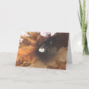 Sachen sind fest karte