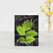 Sachen sind helleres Notecard Karte (Gelbe Blume)