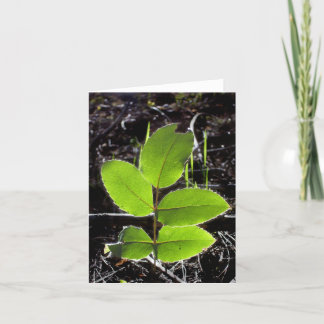 Sachen sind helleres Notecard Karte