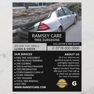 Sachschaden - Baumchirurg - Arborist Flyer