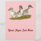 Sachsen Ducklings Flyer (Vorne)