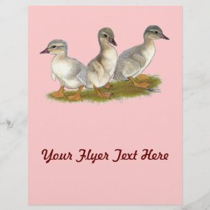 Sachsen Ducklings Flyer