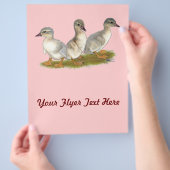 Sachsen Ducklings Flyer (Hand)