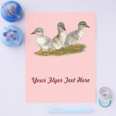 Sachsen Ducklings Flyer (Einzeln)